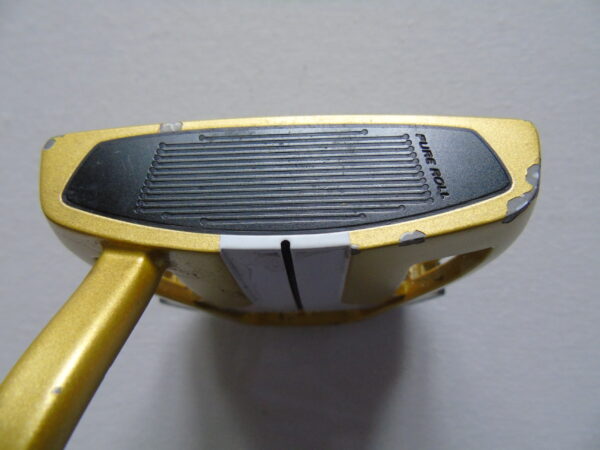 TaylorMade My Spider x Putter