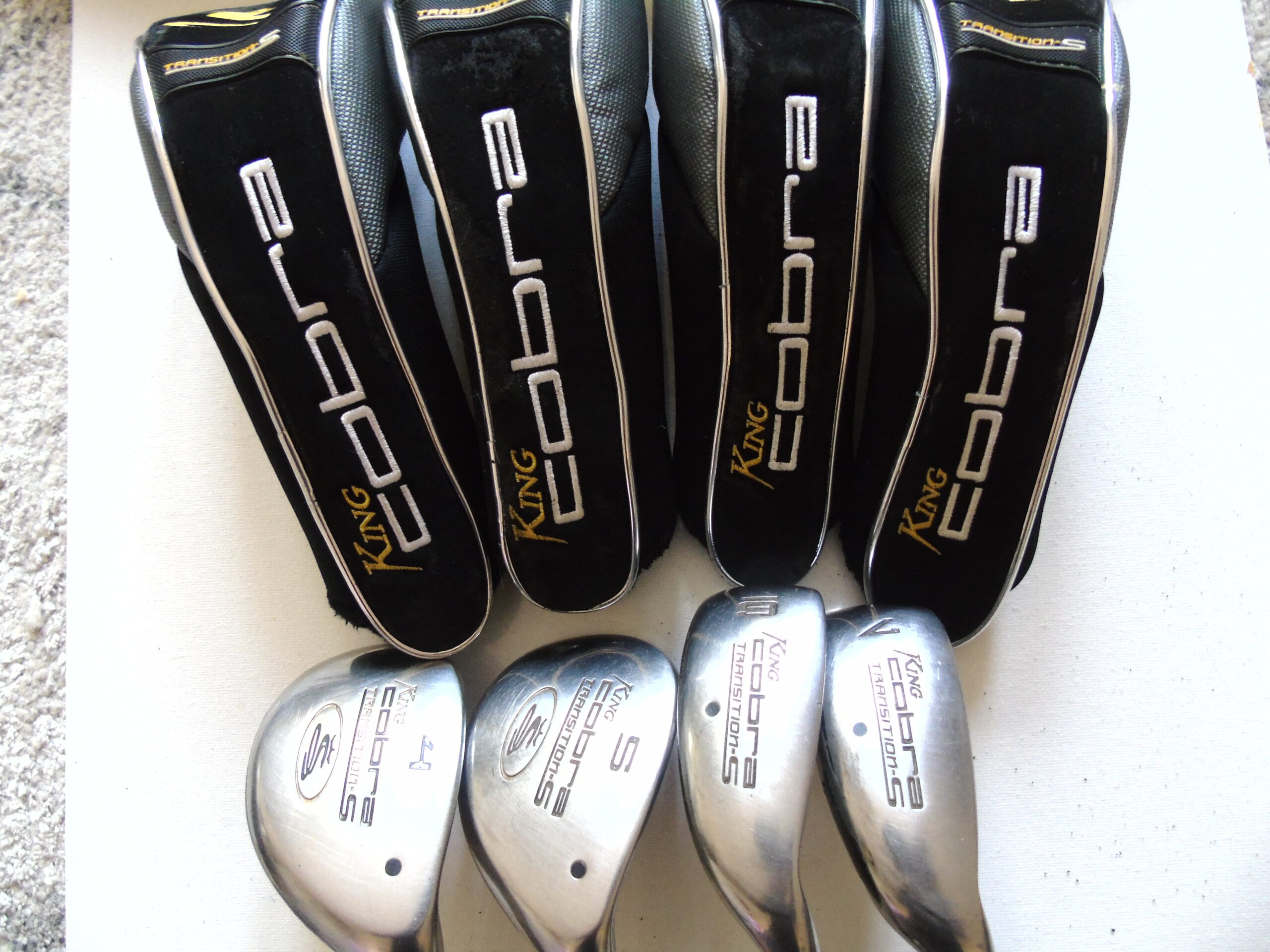 King Cobra Transitions Hybrids
